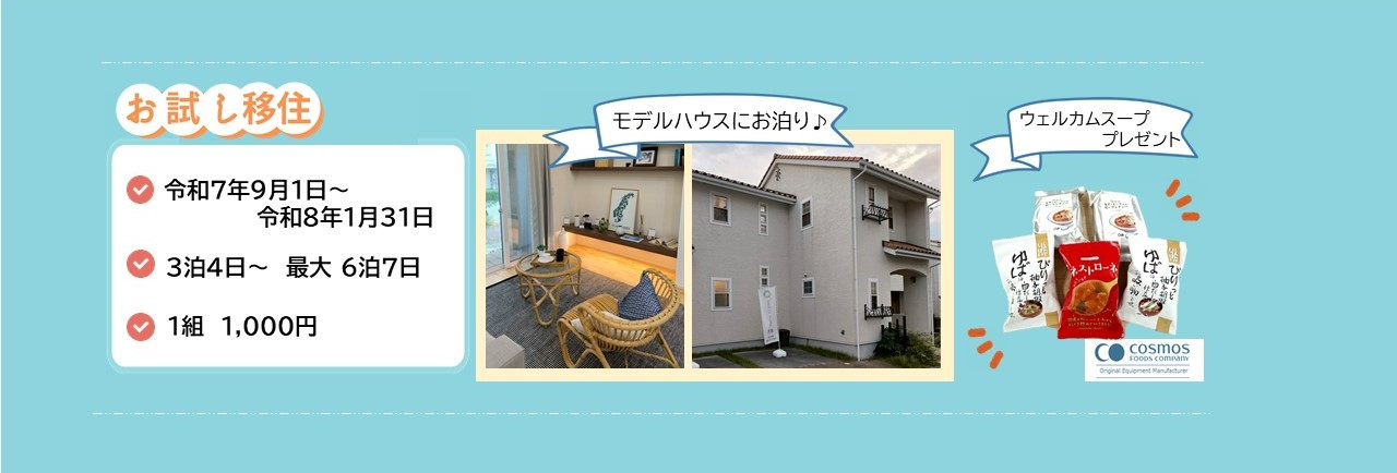 お試し移住バナー2