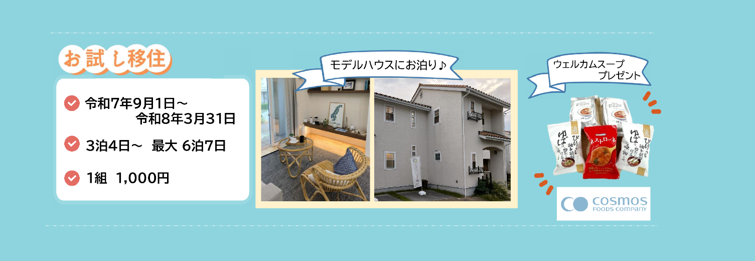 お試し移住 バナー2