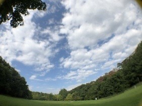 緑豊かな草原から白い雲と青い空を見上げるように撮った写真