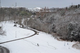 雪に覆われた山に一本の道路が伸びている冬の三田の写真