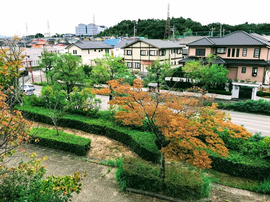青や赤の葉が色づく、三田ウッディタウンの街並みの風景写真
