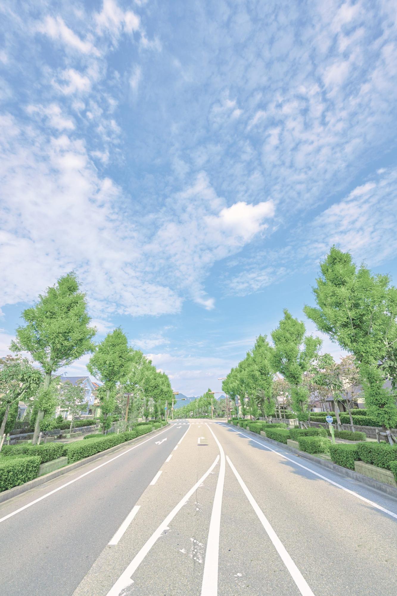 青く晴れた空の下道路の両側に青々とした葉を付けた木が植えられ自然も、生活の利便性も優れた町をPRする三田市のイメージイラスト