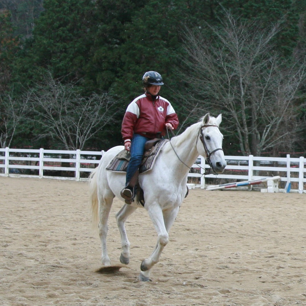 白馬にまたがり優雅に乗馬で散歩している中山美香さんの写真
