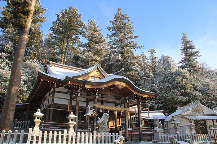 雪化粧した神社の境内と背後の森の写真