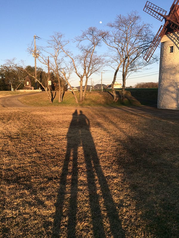 枯れ木の手前に伸びる2人の人の影の写真