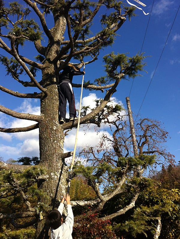 木の上にいる男の子と下にいて棒を伸ばしている白い上着を着た男の子の写真