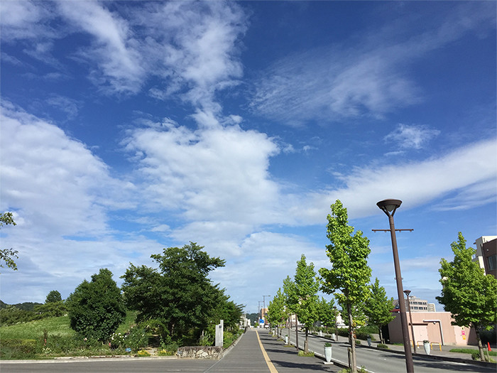 青空に広がった雲とその下を走る道路と左手の森と右手のベージュの建物の写真