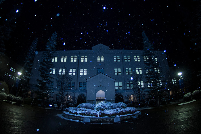 夜の大学キャンパスに降る雪の写真