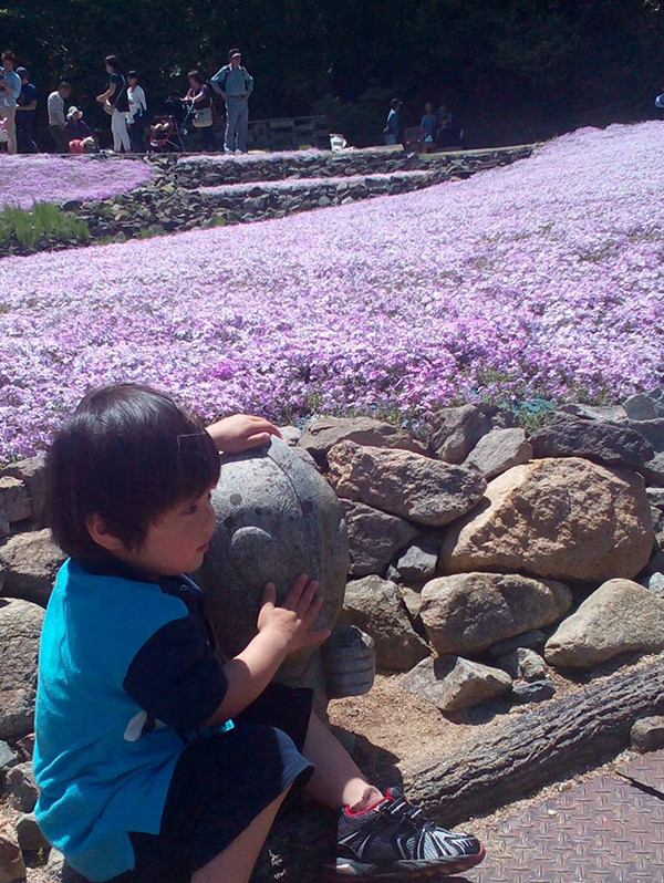 芝桜が広がっている手前に男の子が石を抱えている写真