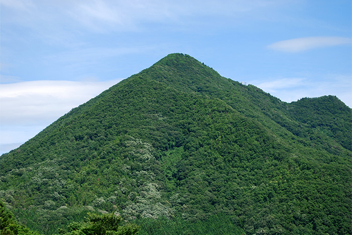 緑に覆われた山の写真